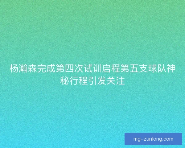 杨瀚森完成第四次试训启程第五支球队神秘行程引发关注