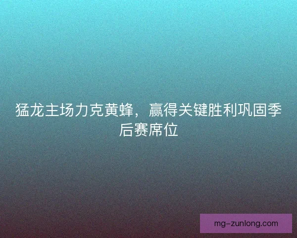 猛龙主场力克黄蜂，赢得关键胜利巩固季后赛席位