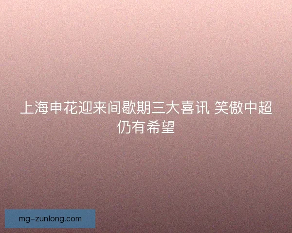 上海申花迎来间歇期三大喜讯 笑傲中超仍有希望