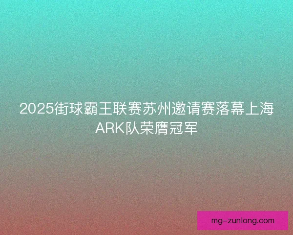 2025街球霸王联赛苏州邀请赛落幕上海ARK队荣膺冠军